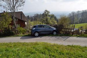 blauer Personenwagen steht seitlich in einem Holzzaun