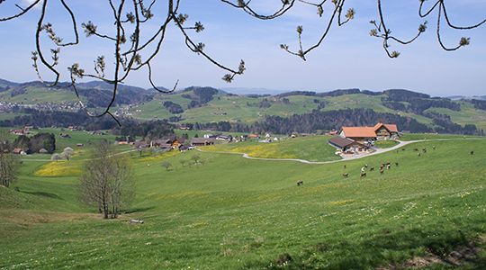 Symbolfoto Landwirtschaftsbetrieb