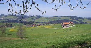 Symbolfoto Landwirtschaftsbetrieb