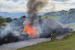 Brand eines Gartenhauses in Wolfhalden.