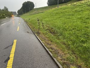 Das Auto kam von der Strasse ab.