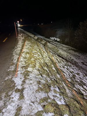 Der Lenker kam rechtsseitig von der Strasse ab.