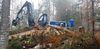 Sturmschäden im Schluchwald werden mit dem Vollernter beseitigt (Foto: S. Holenstein)