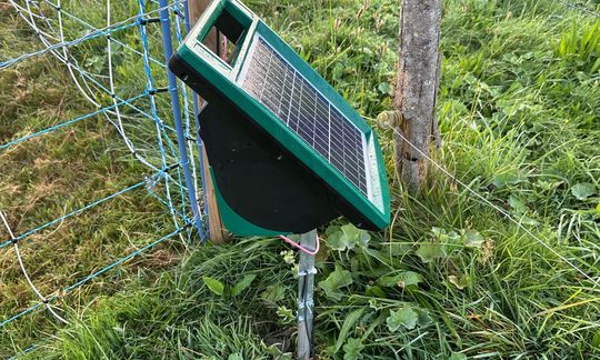 Symbolbild Viehhüteapparat