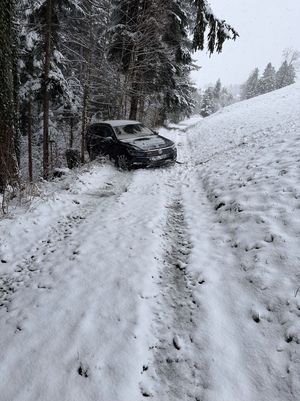 Ein Auto auf einem verschneiten Waldweg am Waldrand