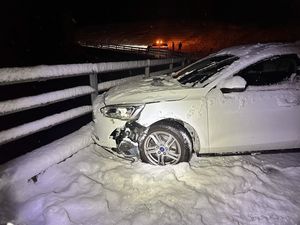 Der Pw kam beim Geländer zum Stillstand.