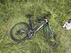 Unfallvelo im Gras