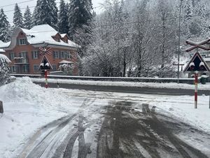 Ansicht des betroffenen Bahnüberganges.