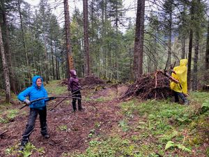 Das nach dem Holzschlag liegen gebliebene Astmaterial wird zu Haufen aufgeschichtet (Foto BWP 12.9.2024)