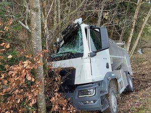 Der Lastwagen prallte gegen einen Baum.