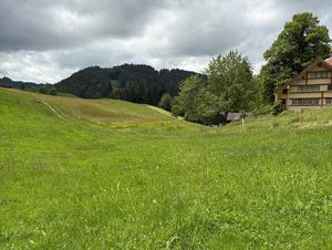 Gebiet der geplanten Bachoffenlegung in Dornesslen, Walzenhausen