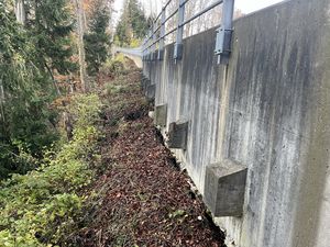 Ansicht Stützriegel Engi in Heiden