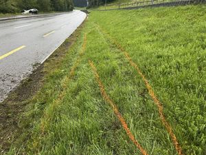 Der Lenker fuhr über die Gegenfahrbahn.