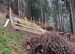 Das nach dem Holzschlag liegen gebliebene Astmaterial wird zu Haufen aufgeschichtet, die Pflanzungen erfolgen in Holzgattern (Foto: Bergwaldprojekt).