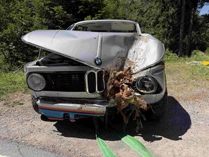 Totalschaden nach Selbstunfall in Heiden.