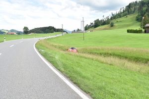Die Lenkerin kam von der Strasse ab und geriet in den Sonderbach.