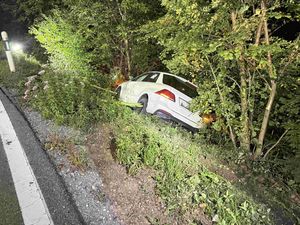 Auto in Waldbord