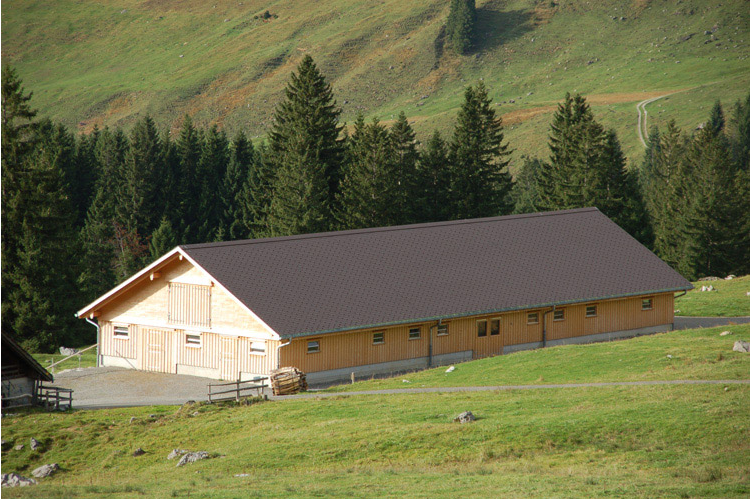 neuer Laufstall in Hundwil